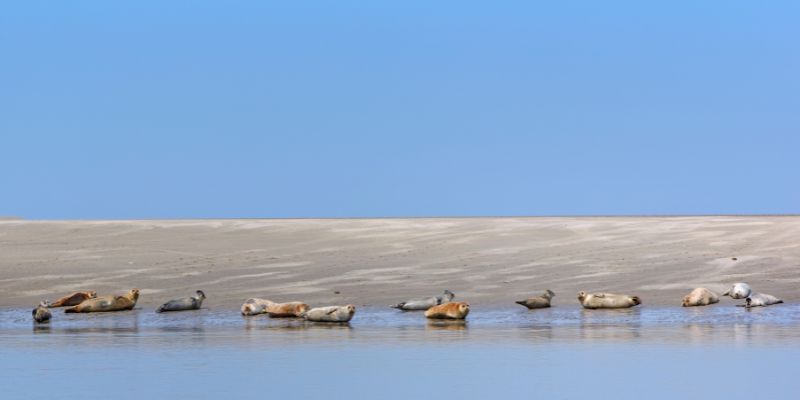 Achat mobil-home neuf ou d’occasion en Baie de Somme – Proche de Paris, Saint-Valery-sur-Somme, Le Crotoy, Amiens, Cayeux-sur-Mer, Fort-Mahon-Plage, Quend-Plage, Mers-les-Bains, Ault, Abbeville et Rue.